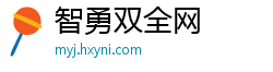 智勇双全网